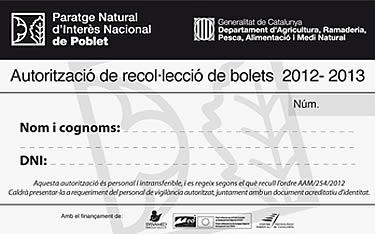Prova pilot de recol•lecció de bolets