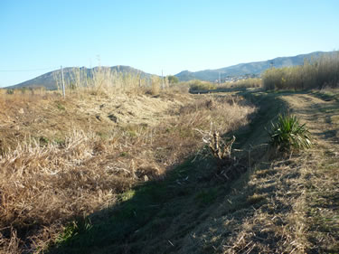 Riera de Vilajuïga