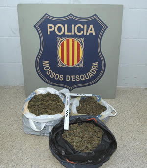 Mossos d'Esquadra