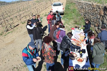 Vívid, Festival del vi