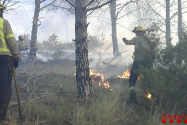 Incendi forestal a Llançà