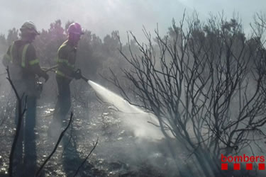 Incendi forestal a Roses
