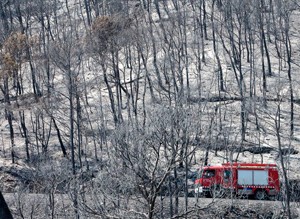 Jornades de prevenció d'incendis