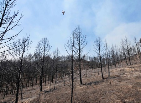 Jornades de prevenció d'incendis
