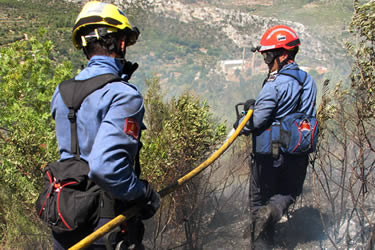 Reforç campanya forestal
