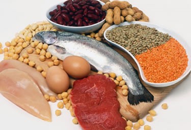 La Nutrició