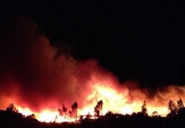 Foc forestal a Vilopriu