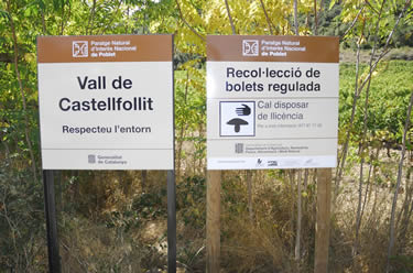 Prova pilot de recol•lecció de bolets