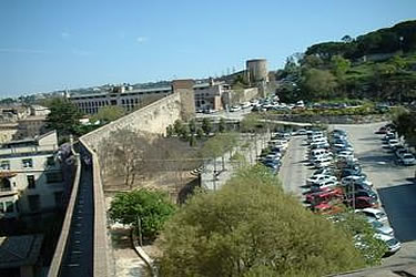 Mossos d'Esquadra