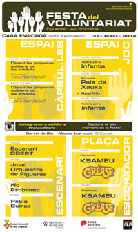 Festa del Voluntariat