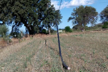 Palau-saverdera