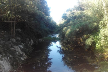 Agència Catalana de l'Aigua