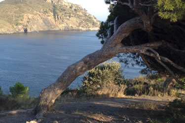Camí de Ronda