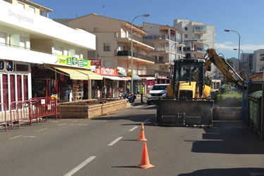 Plantació de palmeres a Santa Margarida