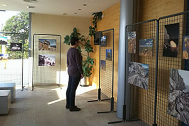 Exposició a l'Oficina de Turisme de Roses