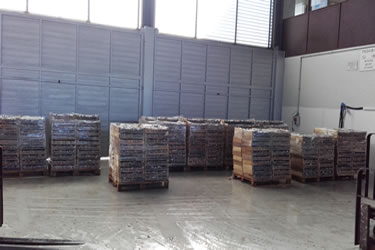 Decomís de 13.000 Kg de sardina de mida antireglamentària