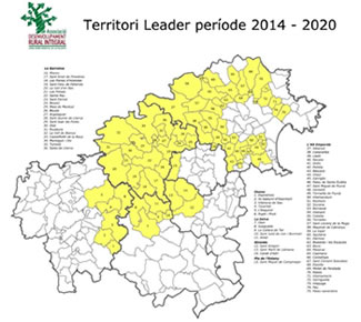 Programa Leader