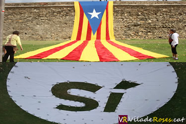 Roses per la Independència