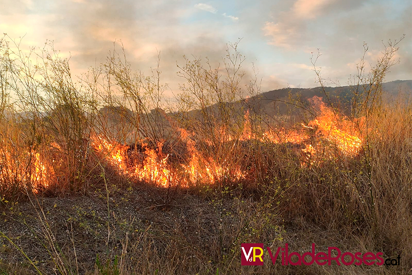 Foc a la zona de El Cortijo de Roses