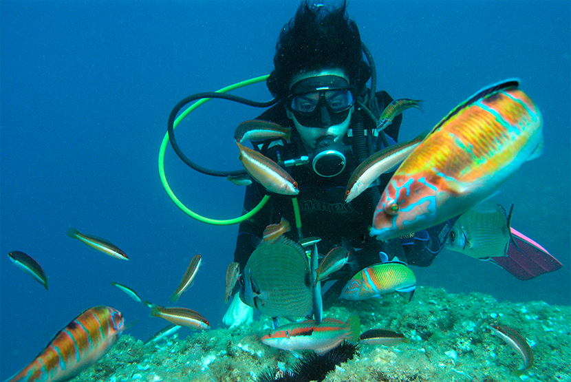 Càtedra Oceans i Salut Humana