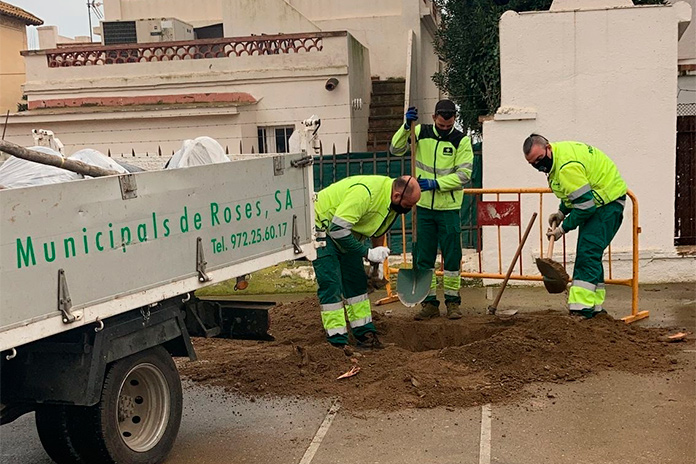 Nova plantació d’arbres a Roses