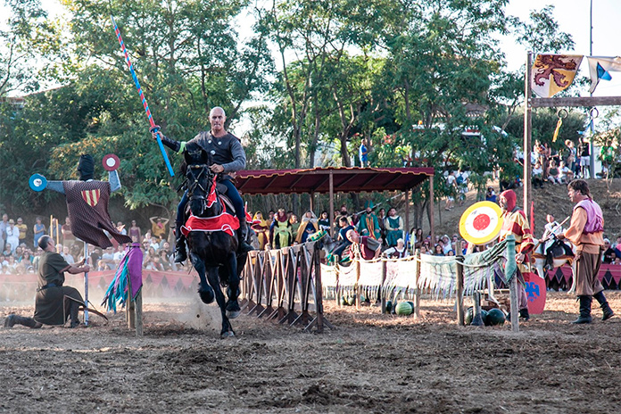 Festival Terra de Trobadors