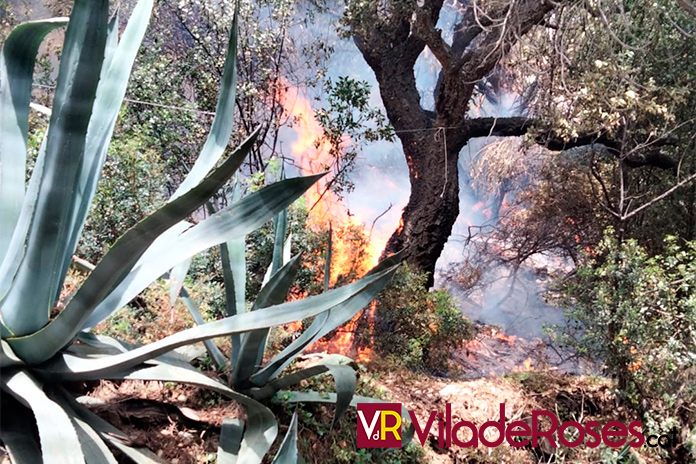 Incendi a Canyelles Petites de Roses
