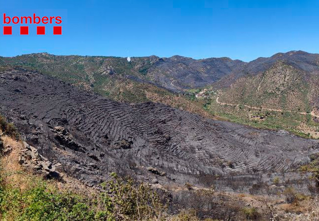 Incendi a Llançà
