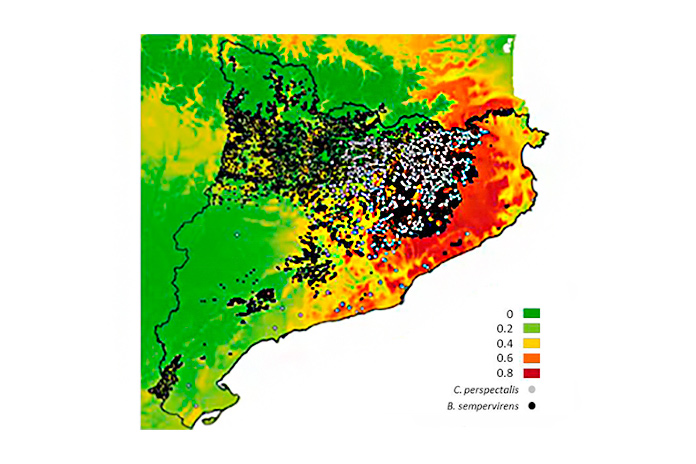 L’Observatori del Clima