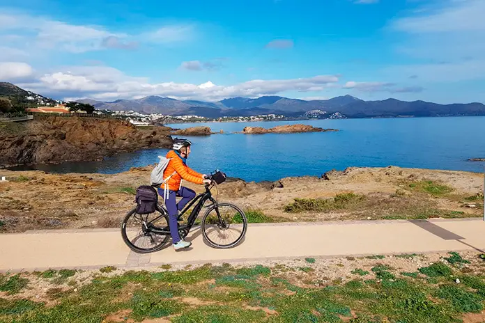 Consell Comarcal de l'Alt Empordà