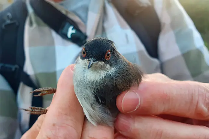 Parc Natural del Cap de Creus