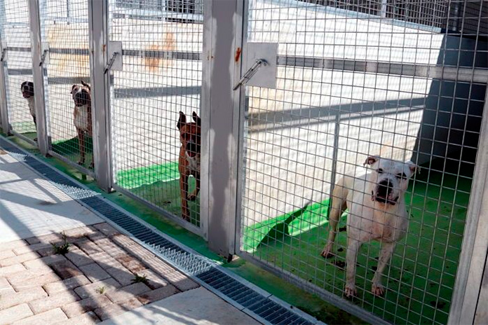 Centre de Protecció i Adopció d’Animals de l’Alt Empordà