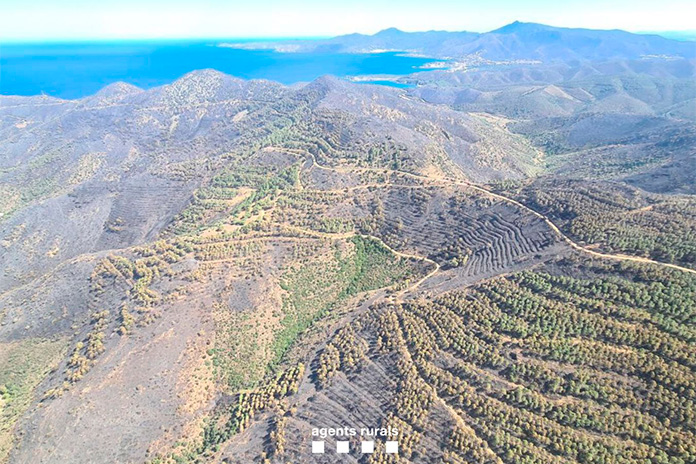 Incendi forestal de Portbou