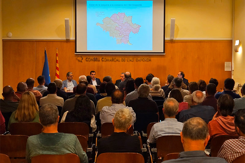 Consell d’Alcaldies de l'Alt Empordà