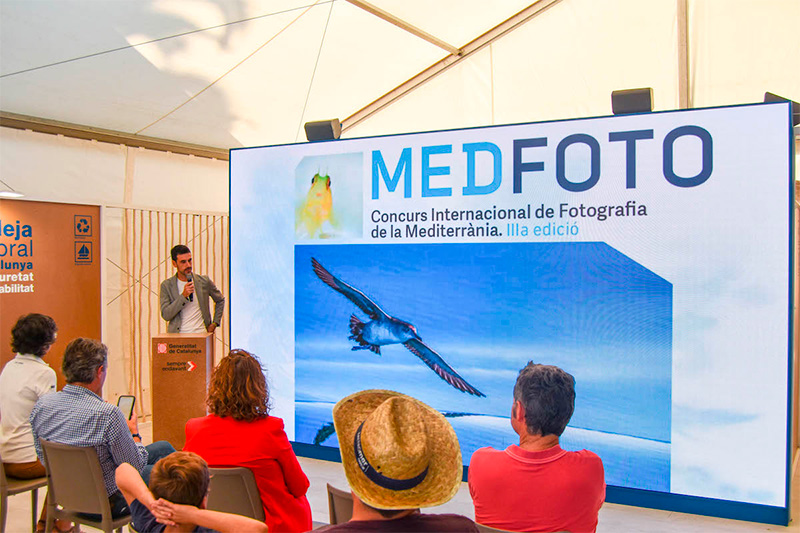 MedFoto