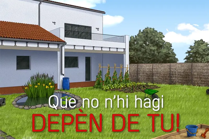 Consells per prevenir l'aparició de mosquit tigre