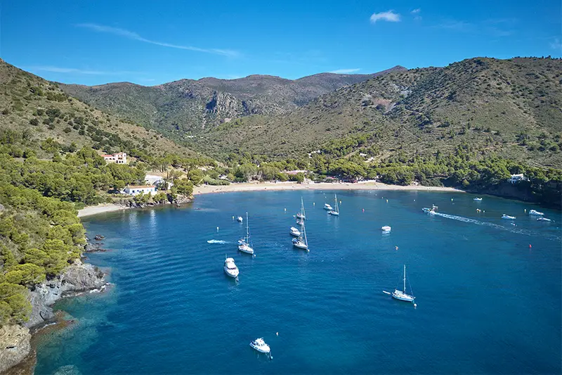 Projecte Let's Clean Up Europe