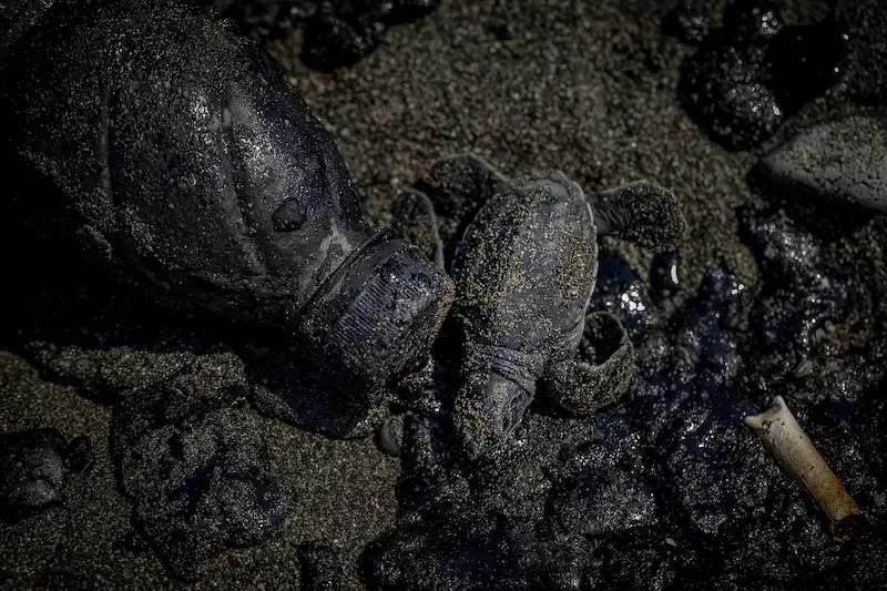 Exposició “Med Foto 2025”