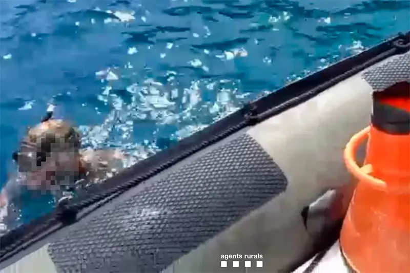 Parc Natural del Cap de Creus