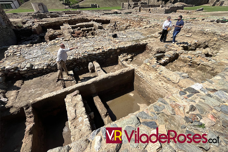 Càtedra Roses d'Arqueologia