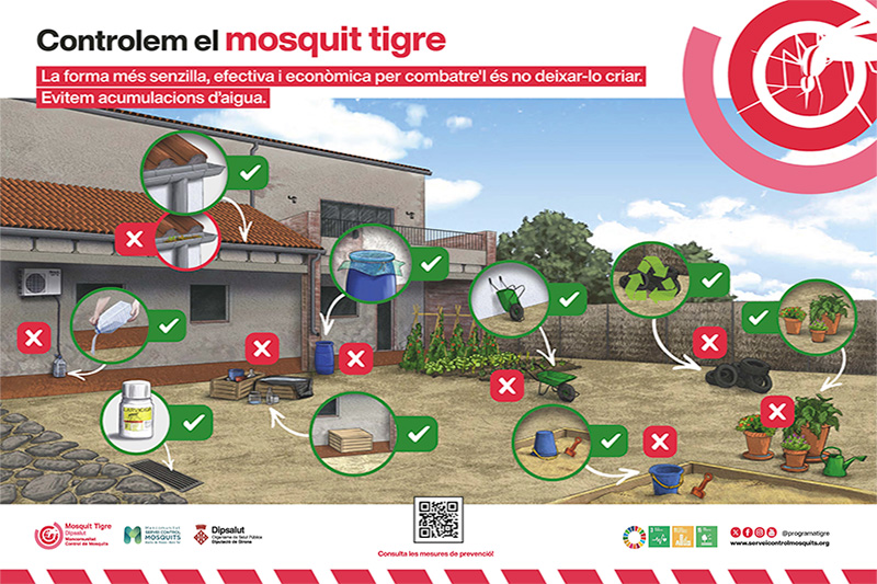 Mosquit tigre