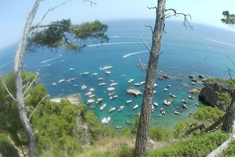 SOS Costa Brava