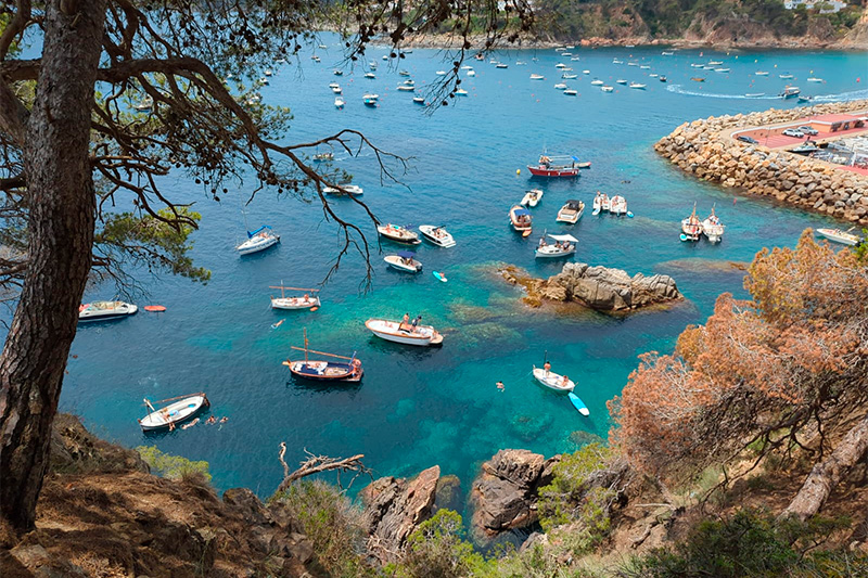 SOS Costa Brava
