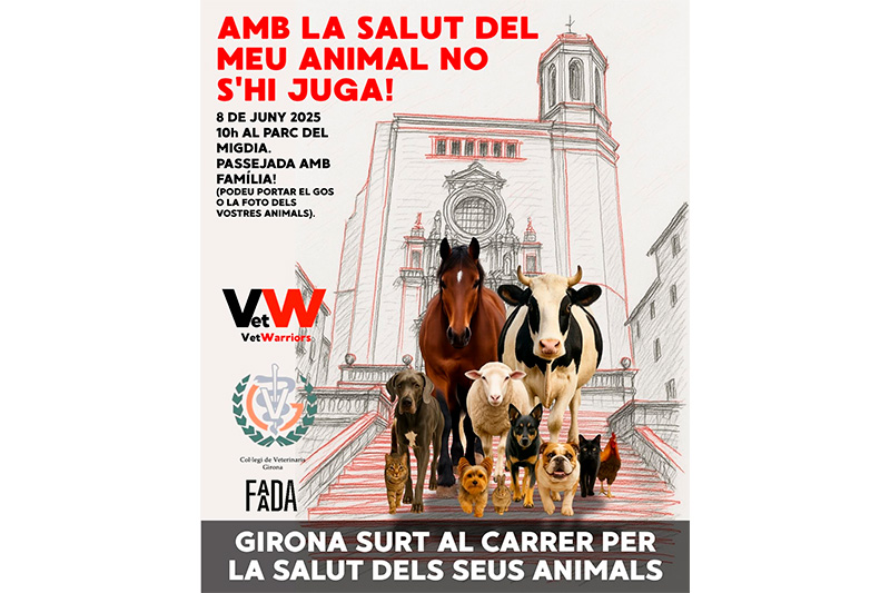 Passejada amb mascotes a Girona