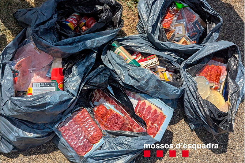 Mossos d'Esquadra
