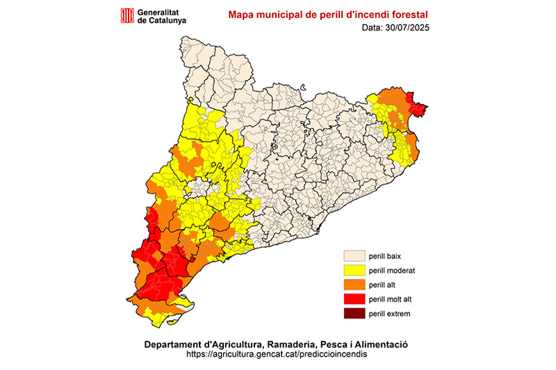Nivell 3 del Pla Alfa