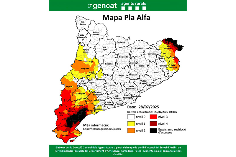 Nivell 4 del Pla Alfa