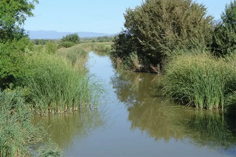 Aqüífer del Fluvià Muga