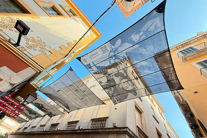 Tendals amb la imatge de Dalí