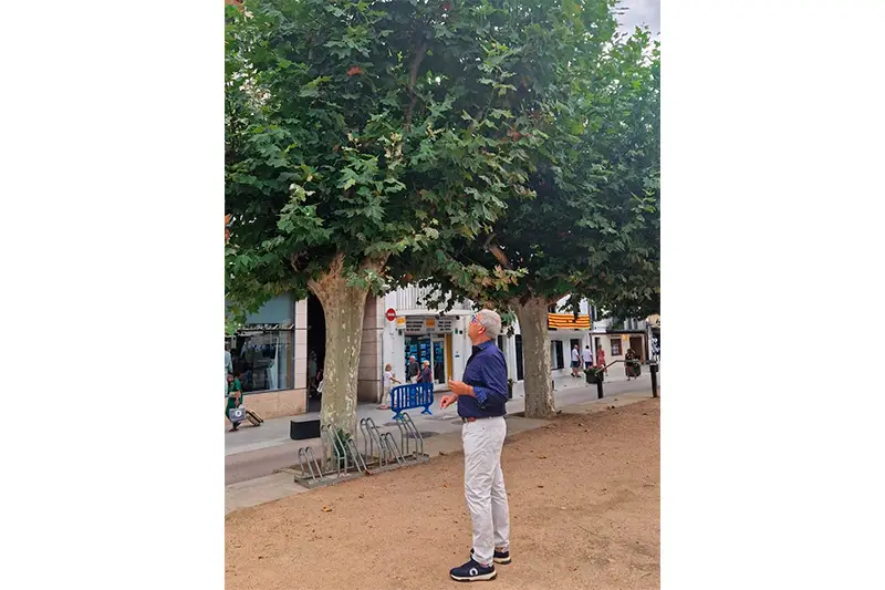 Foragitament d'estornells a Roses